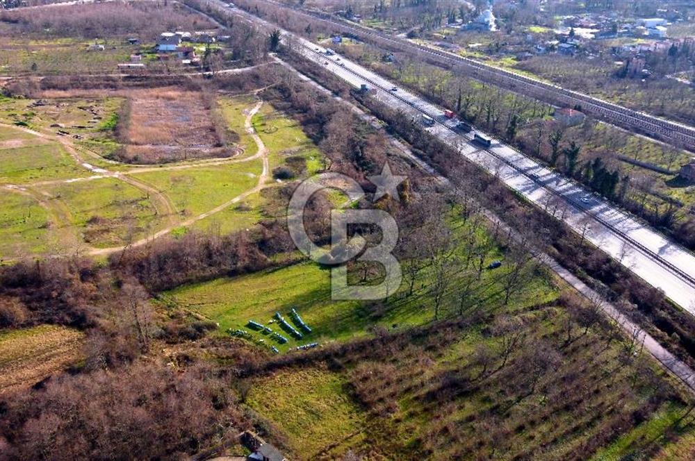 CB AKADEMİ MAŞUKİYE ASFALT CEPHE SATILIK 8376 m2 TARLA