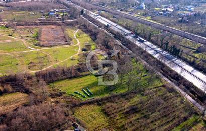 CB AKADEMİ MAŞUKİYE ASFALT CEPHE SATILIK 8376 m2 TARLA