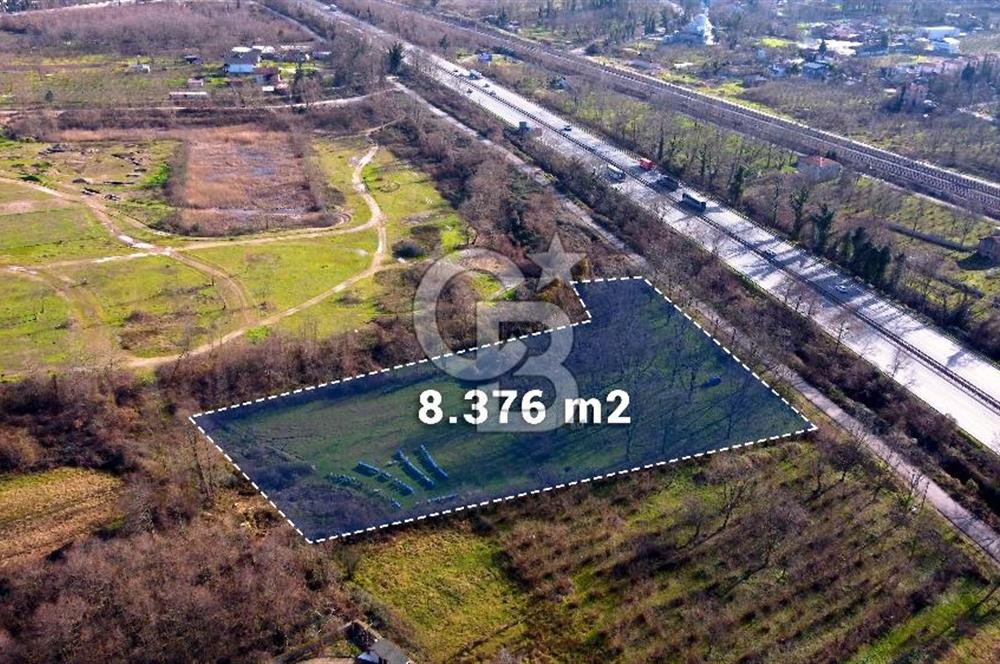 CB AKADEMİ MAŞUKİYE ASFALT CEPHE SATILIK 8376 m2 TARLA