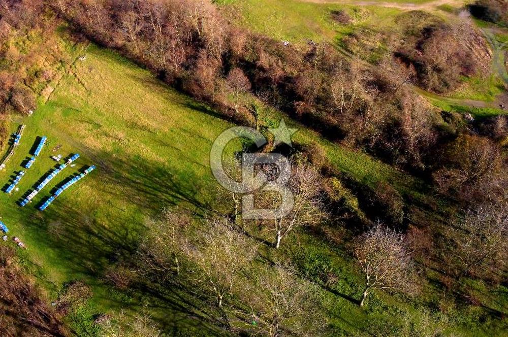 CB AKADEMİ MAŞUKİYE ASFALT CEPHE SATILIK 8376 m2 TARLA