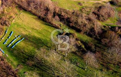 CB AKADEMİ MAŞUKİYE ASFALT CEPHE SATILIK 8376 m2 TARLA