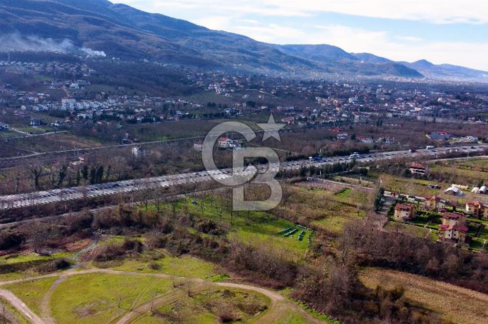 CB AKADEMİ MAŞUKİYE ASFALT CEPHE SATILIK 8376 m2 TARLA