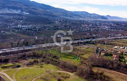 CB AKADEMİ MAŞUKİYE ASFALT CEPHE SATILIK 8376 m2 TARLA