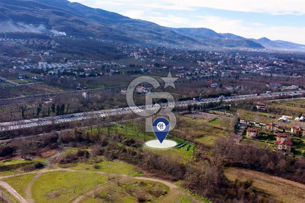 CB AKADEMİ MAŞUKİYE ASFALT CEPHE SATILIK 8376 m2 TARLA