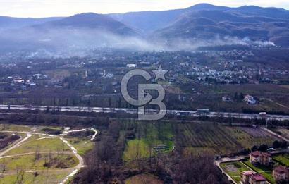CB AKADEMİ MAŞUKİYE ASFALT CEPHE SATILIK 8376 m2 TARLA
