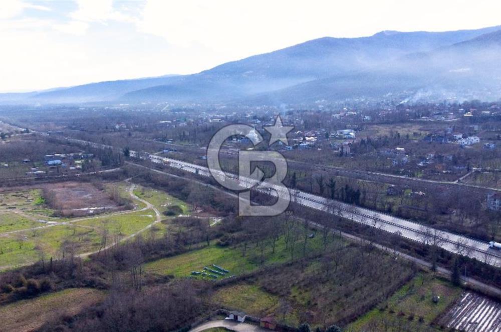 CB AKADEMİ MAŞUKİYE ASFALT CEPHE SATILIK 8376 m2 TARLA