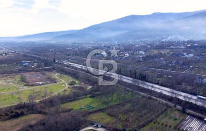 CB AKADEMİ MAŞUKİYE ASFALT CEPHE SATILIK 8376 m2 TARLA