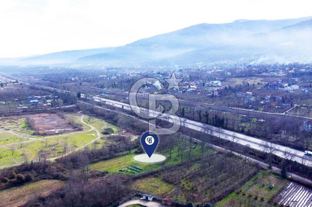 CB AKADEMİ MAŞUKİYE ASFALT CEPHE SATILIK 8376 m2 TARLA