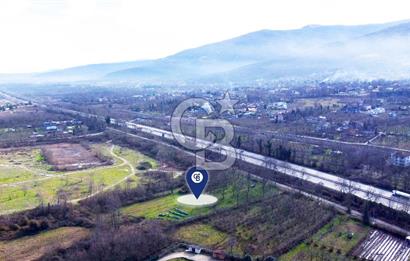 CB AKADEMİ MAŞUKİYE ASFALT CEPHE SATILIK 8376 m2 TARLA