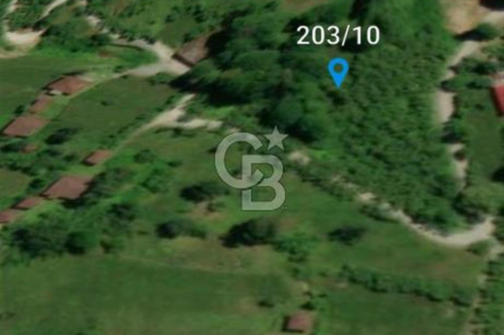 Artvin Arhavi Derecik Köyünde 2905 M² Satılık Fındıklık