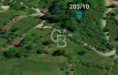 Artvin Arhavi Derecik Köyünde 2905 M² Satılık Fındıklık