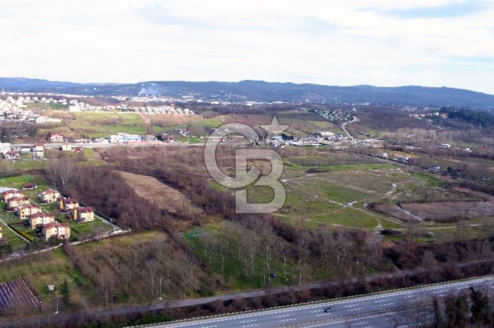 CB AKADEMİ MAŞUKİYE ASFALT CEPHE SATILIK 8376 m2 TARLA