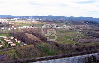 CB AKADEMİ MAŞUKİYE ASFALT CEPHE SATILIK 8376 m2 TARLA