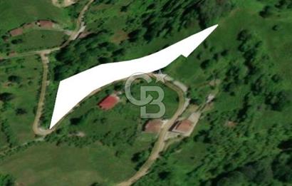 Artvin Arhavi Derecik Köyünde 2905 M² Satılık Fındıklık