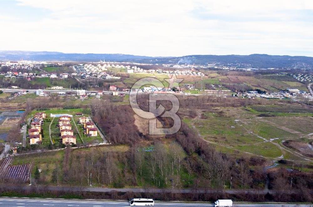 CB AKADEMİ MAŞUKİYE ASFALT CEPHE SATILIK 8376 m2 TARLA
