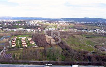 CB AKADEMİ MAŞUKİYE ASFALT CEPHE SATILIK 8376 m2 TARLA