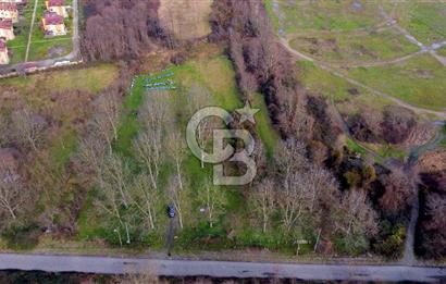 CB AKADEMİ MAŞUKİYE ASFALT CEPHE SATILIK 8376 m2 TARLA