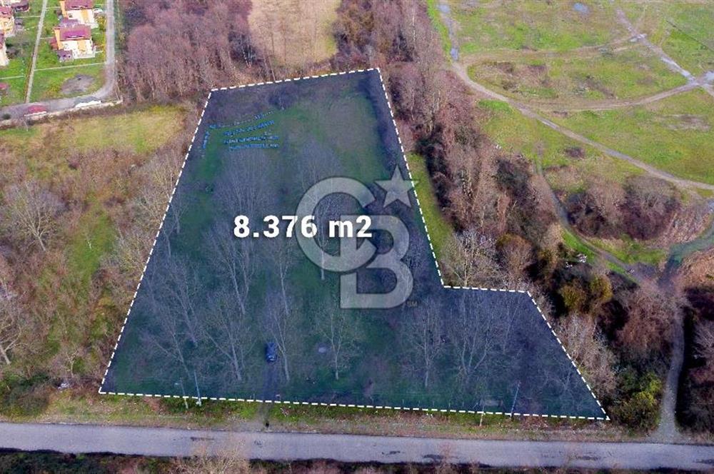 CB AKADEMİ MAŞUKİYE ASFALT CEPHE SATILIK 8376 m2 TARLA