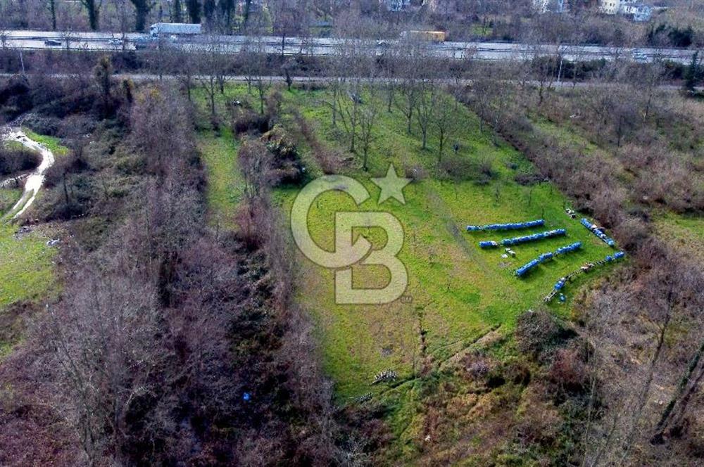 CB AKADEMİ MAŞUKİYE ASFALT CEPHE SATILIK 8376 m2 TARLA