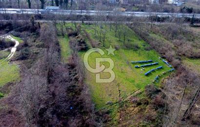 CB AKADEMİ MAŞUKİYE ASFALT CEPHE SATILIK 8376 m2 TARLA