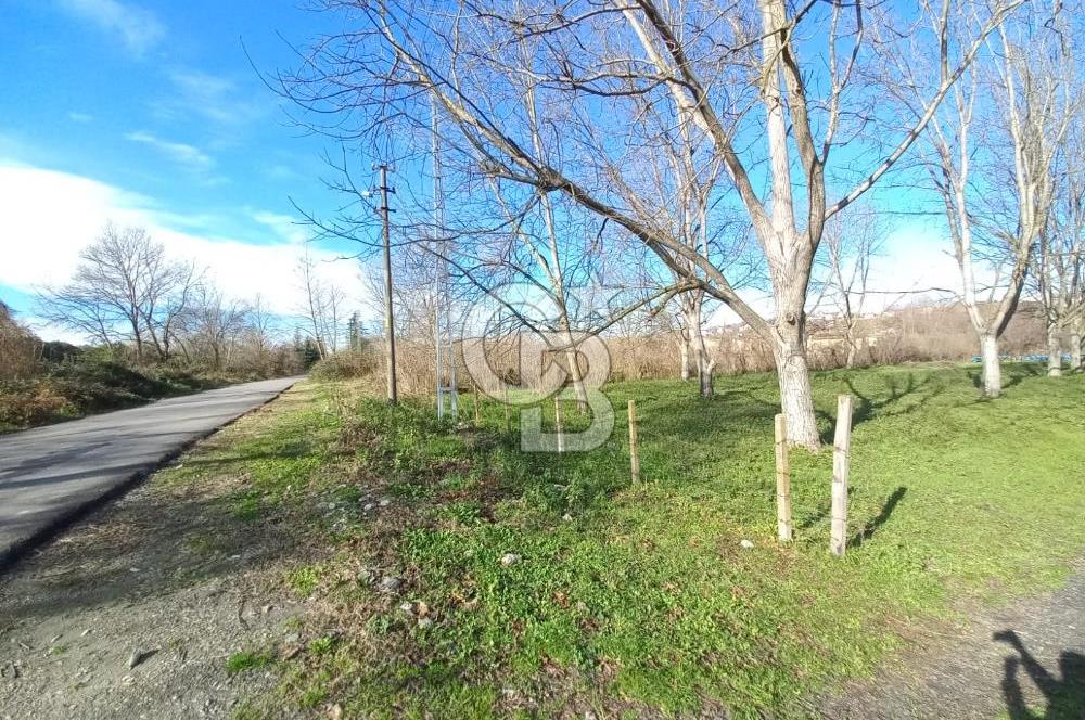 CB AKADEMİ MAŞUKİYE ASFALT CEPHE SATILIK 8376 m2 TARLA