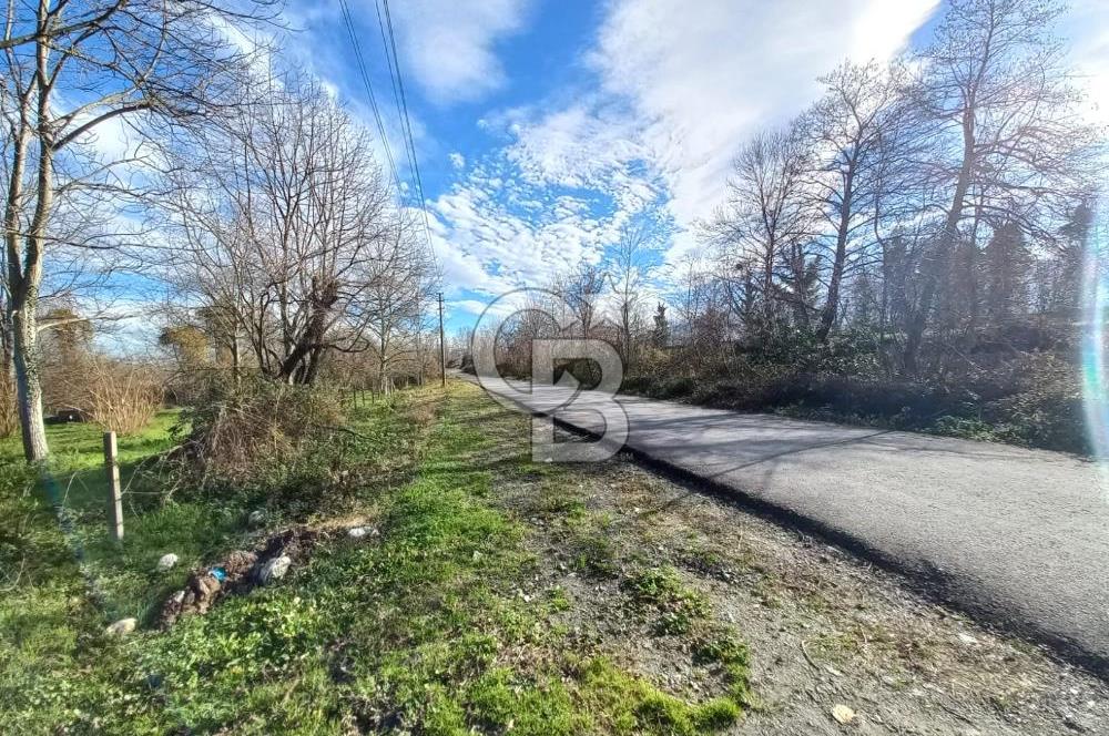 CB AKADEMİ MAŞUKİYE ASFALT CEPHE SATILIK 8376 m2 TARLA