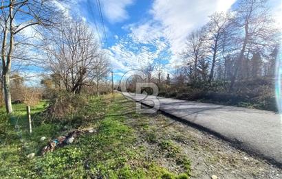 CB AKADEMİ MAŞUKİYE ASFALT CEPHE SATILIK 8376 m2 TARLA