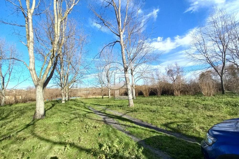 CB AKADEMİ MAŞUKİYE ASFALT CEPHE SATILIK 8376 m2 TARLA