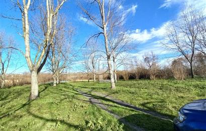 CB AKADEMİ MAŞUKİYE ASFALT CEPHE SATILIK 8376 m2 TARLA