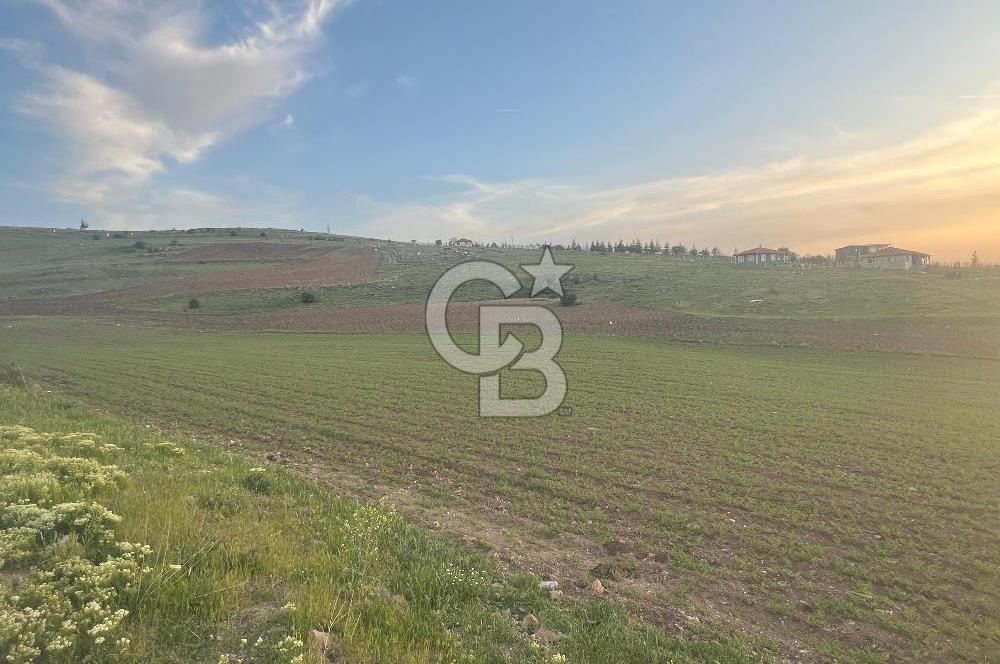 Cb Vizyon Gökhan KORAL' dan Gerder de Proje İçinde Hisseli Arsa