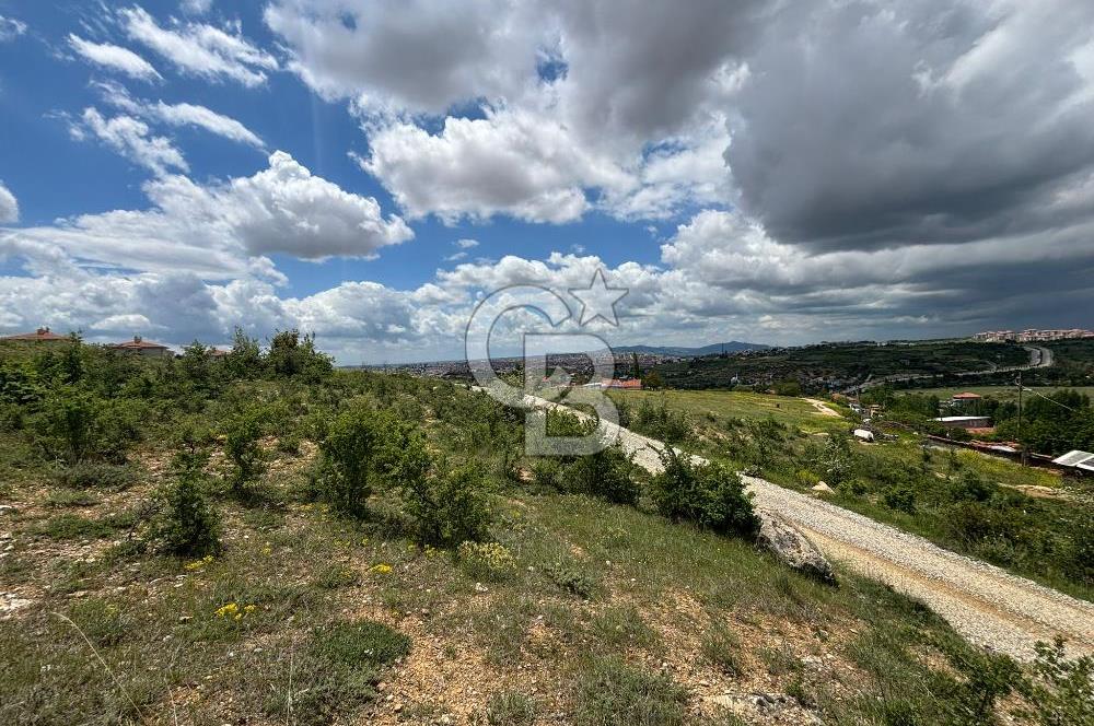 UŞAK AYBEY MH. 2024 M2 SATILIK TARLA 