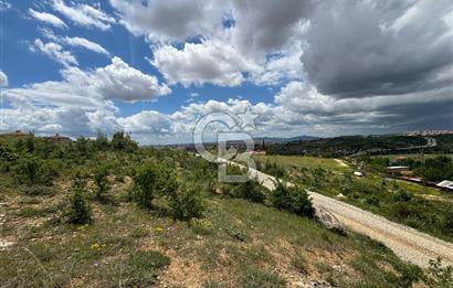 UŞAK AYBEY MH. 2024 M2 SATILIK TARLA 