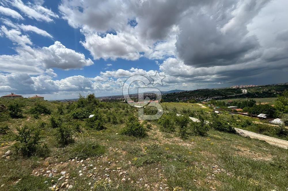 UŞAK AYBEY MH. 2024 M2 SATILIK TARLA 