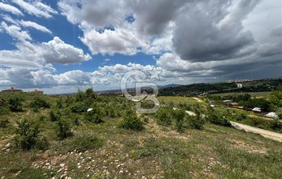 UŞAK AYBEY MH. 2024 M2 SATILIK TARLA 