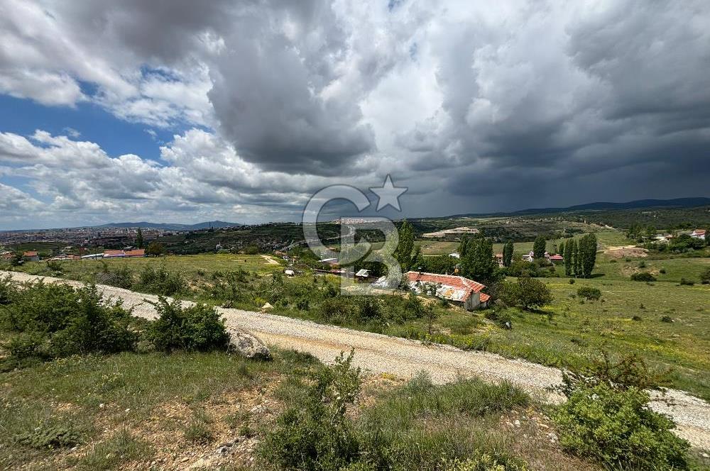 UŞAK AYBEY MH. 2024 M2 SATILIK TARLA 