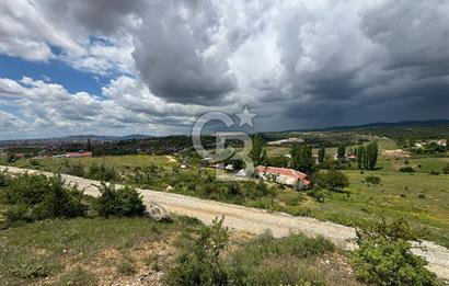 UŞAK AYBEY MH. 2024 M2 SATILIK TARLA 