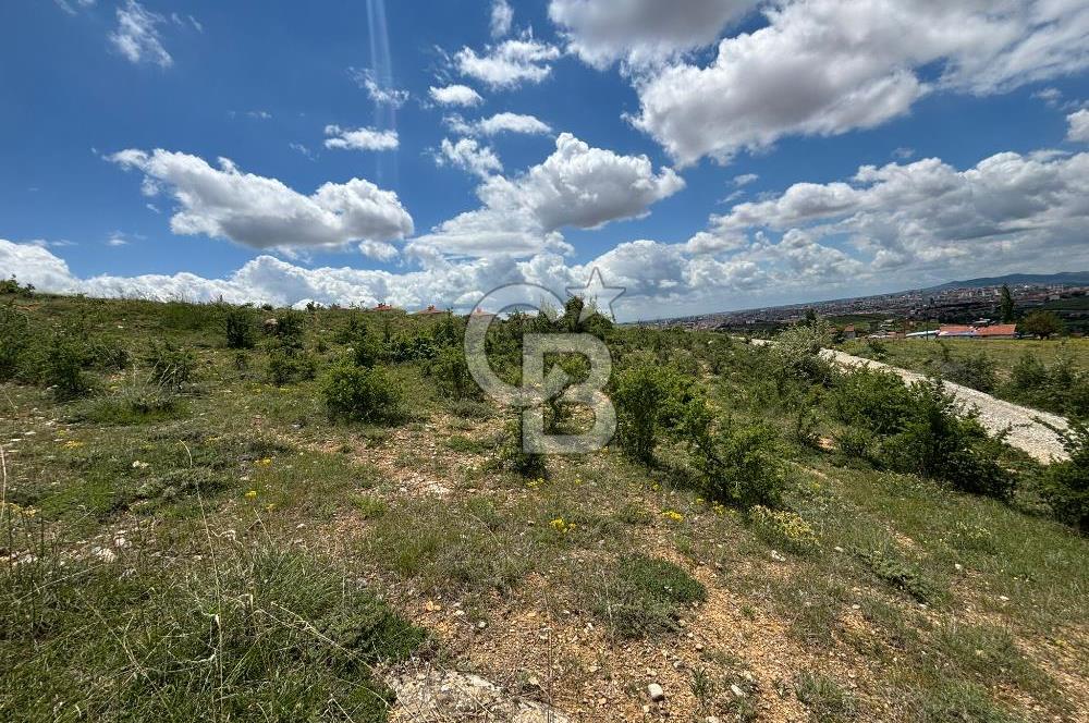 UŞAK AYBEY MH. 2024 M2 SATILIK TARLA 