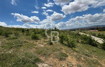 UŞAK AYBEY MH. 2024 M2 SATILIK TARLA 