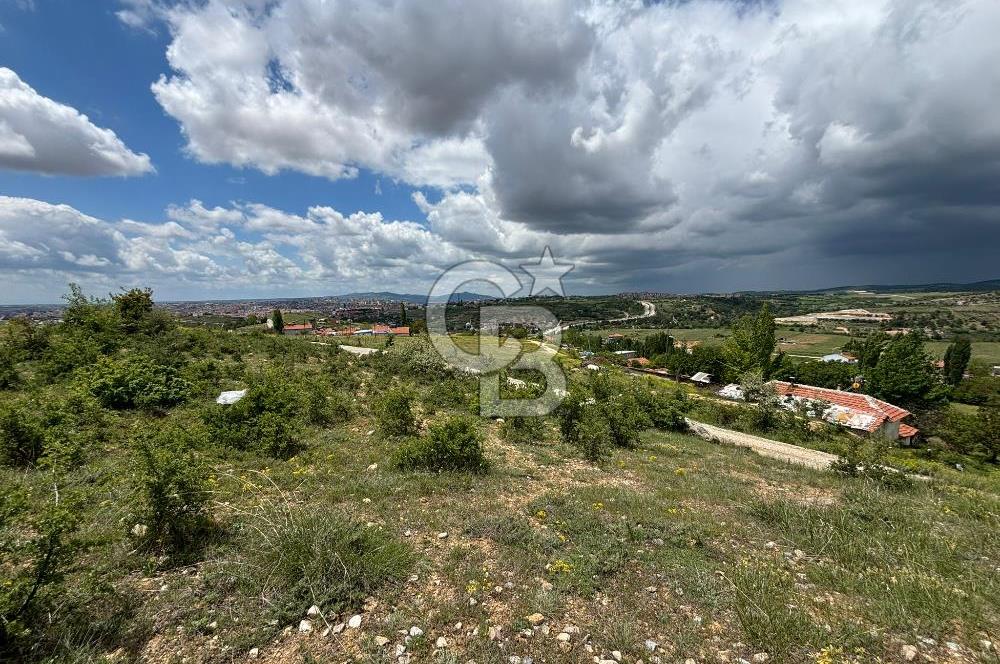 UŞAK AYBEY MH. 2024 M2 SATILIK TARLA 