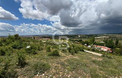 UŞAK AYBEY MH. 2024 M2 SATILIK TARLA 
