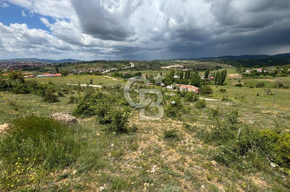 UŞAK AYBEY MH. 2024 M2 SATILIK TARLA 