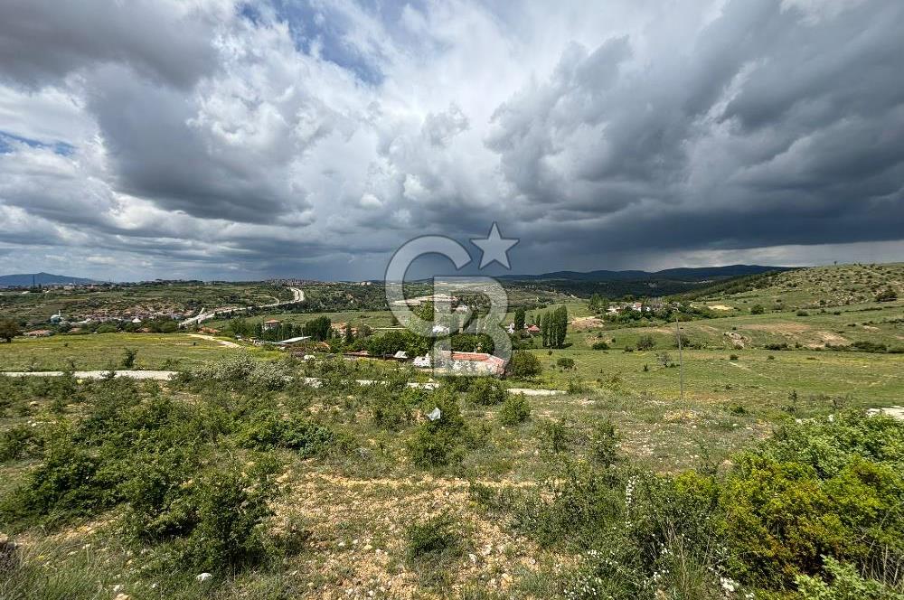 UŞAK AYBEY MH. 2024 M2 SATILIK TARLA 