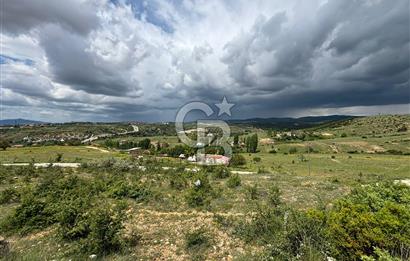 UŞAK AYBEY MH. 2024 M2 SATILIK TARLA 