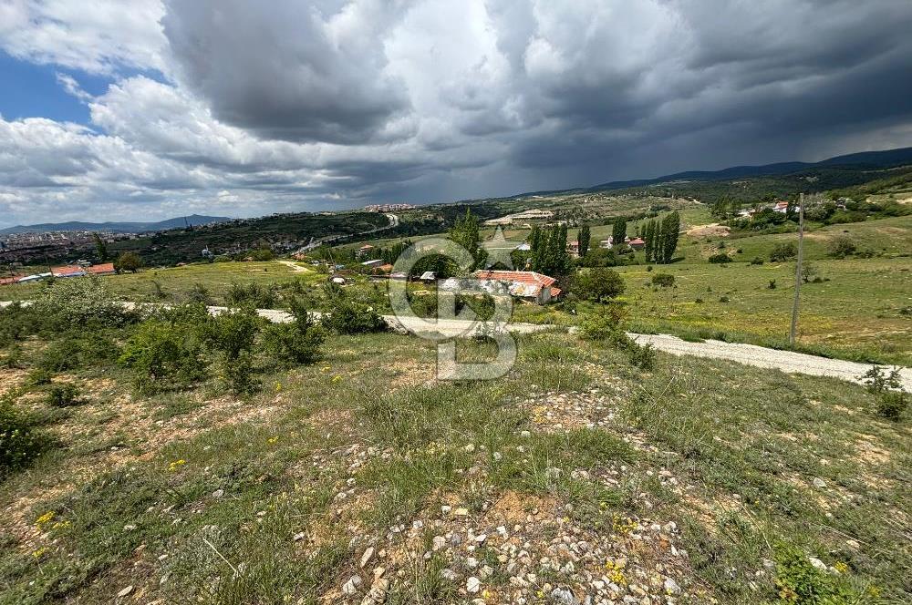 UŞAK AYBEY MH. 2024 M2 SATILIK TARLA 