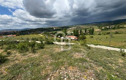UŞAK AYBEY MH. 2024 M2 SATILIK TARLA 