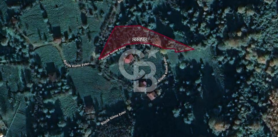 Artvin Arhavi Derecik Köyünde 2905 M² Satılık Fındıklık