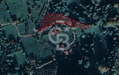 Artvin Arhavi Derecik Köyünde 2905 M² Satılık Fındıklık