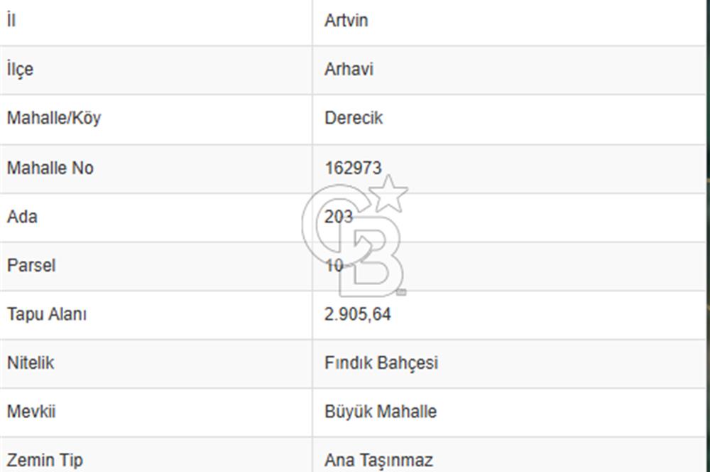 Artvin Arhavi Derecik Köyünde 2905 M² Satılık Fındıklık