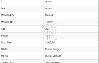 Artvin Arhavi Derecik Köyünde 2905 M² Satılık Fındıklık