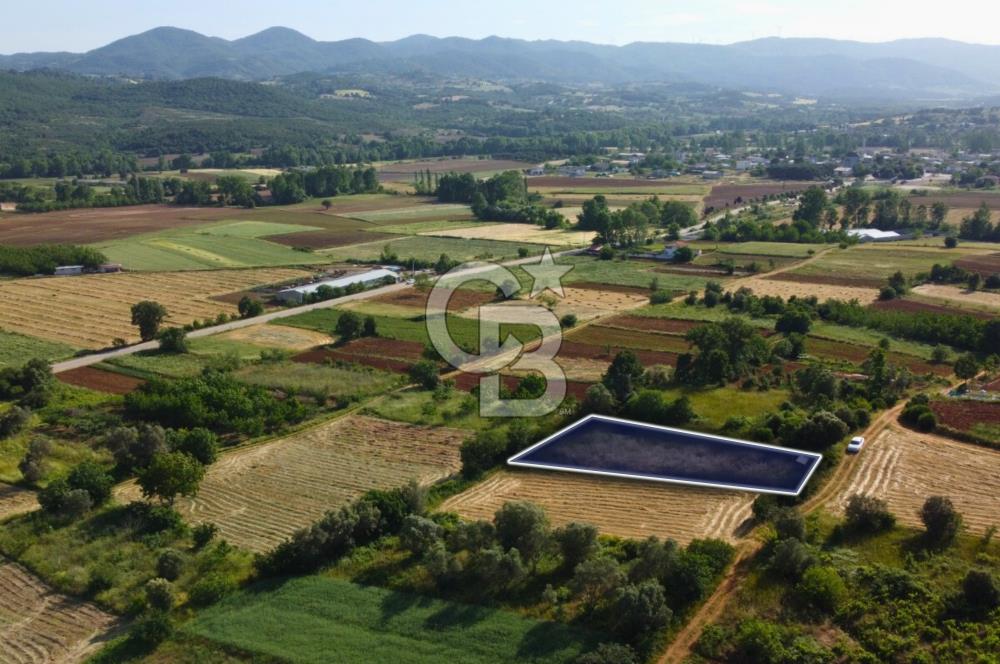 Çanakkale Lapseki Dışbudak Köyü 983 m² Yolu Olan Satılık Tarla